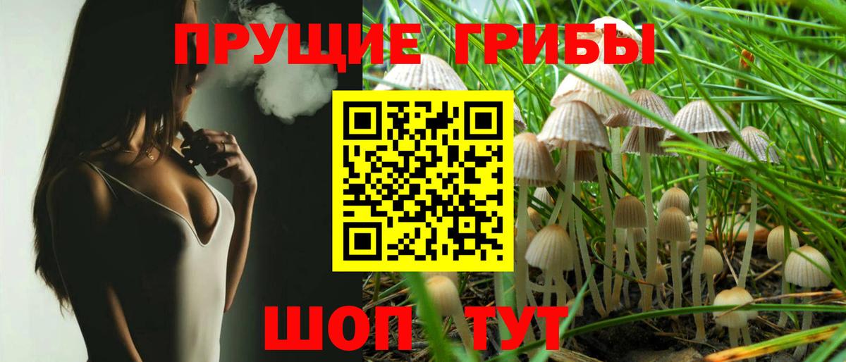 Галлюциногенные грибы MAGIC MUSHROOMS Краснодар
