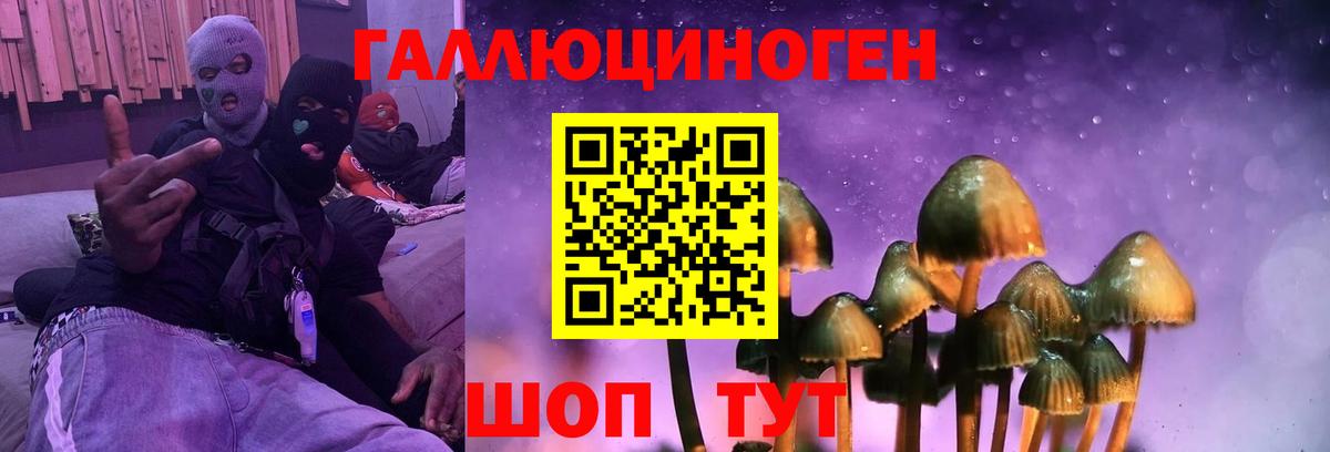 Краснодар  Псилоцибиновые грибы мухоморы  Псилоцибиновые грибы ЛСД  хочу наркоту  Вход с VPN 